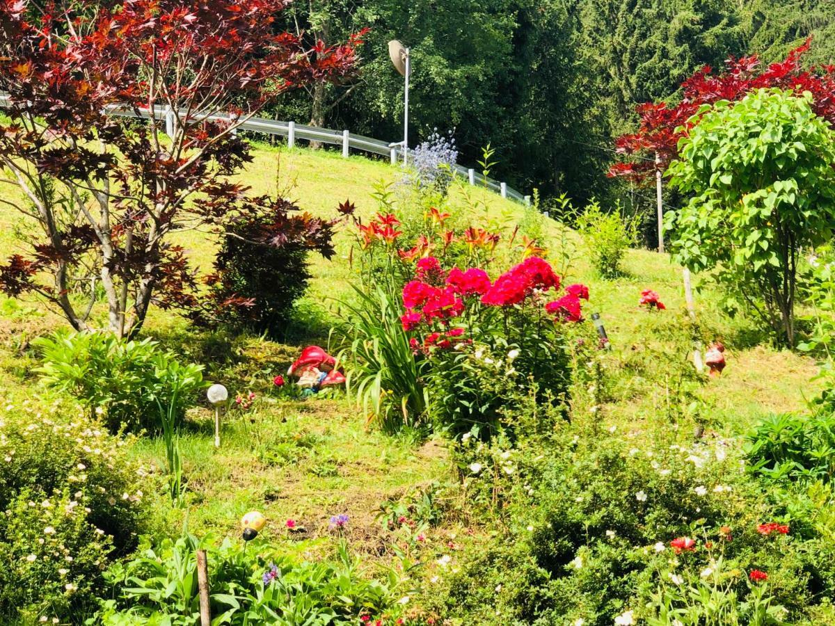 Flatscherhof 산로렌조디세바토 외부 사진